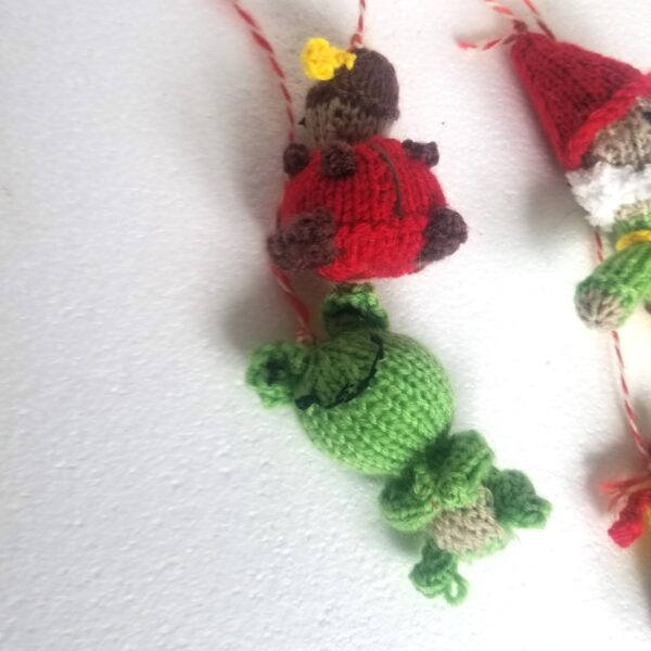 frog and ladybird