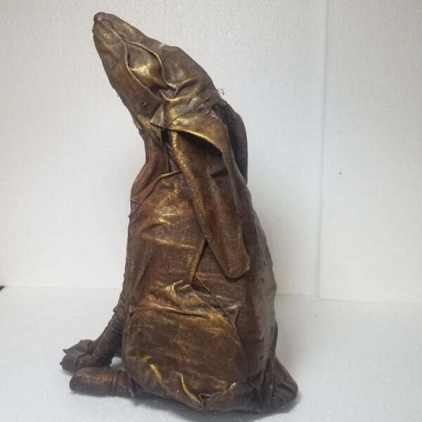 moon gazing hare side view