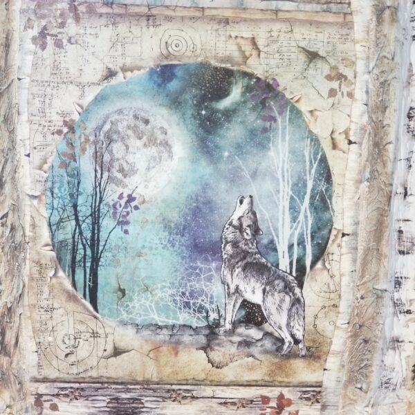 wolf mixed media close up of picture