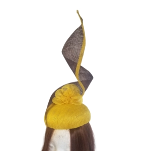 yellow and brown spiral
