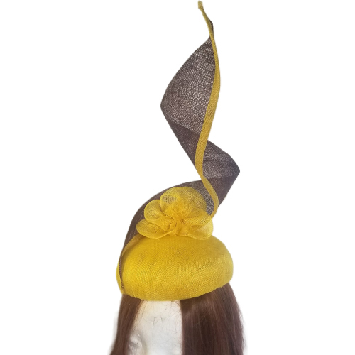 yellow and brown spiral