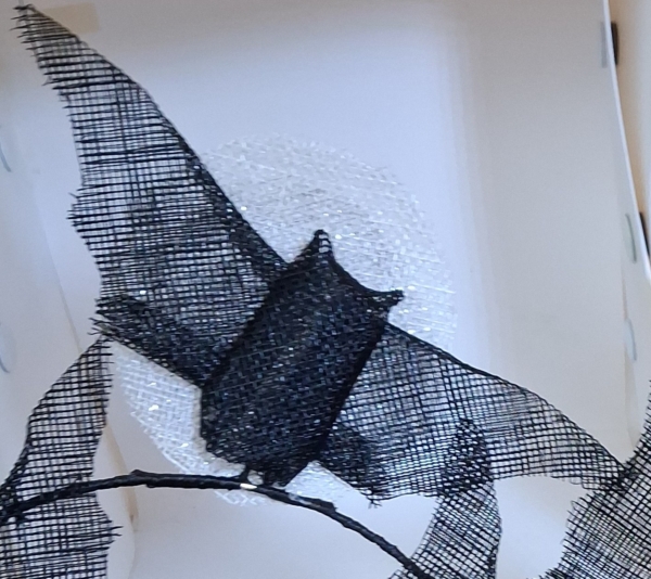 bat close up